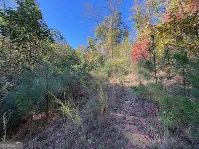 Tract 1 Shoal Creek Road Murphy NC 28906