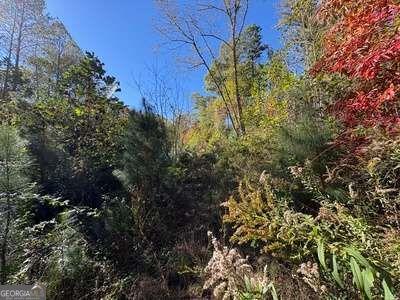 Tract 1 Shoal Creek Road Murphy NC 28906
