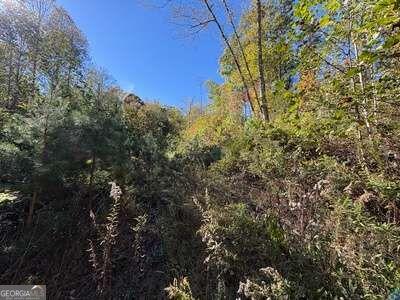 Tract 1 Shoal Creek Road Murphy NC 28906
