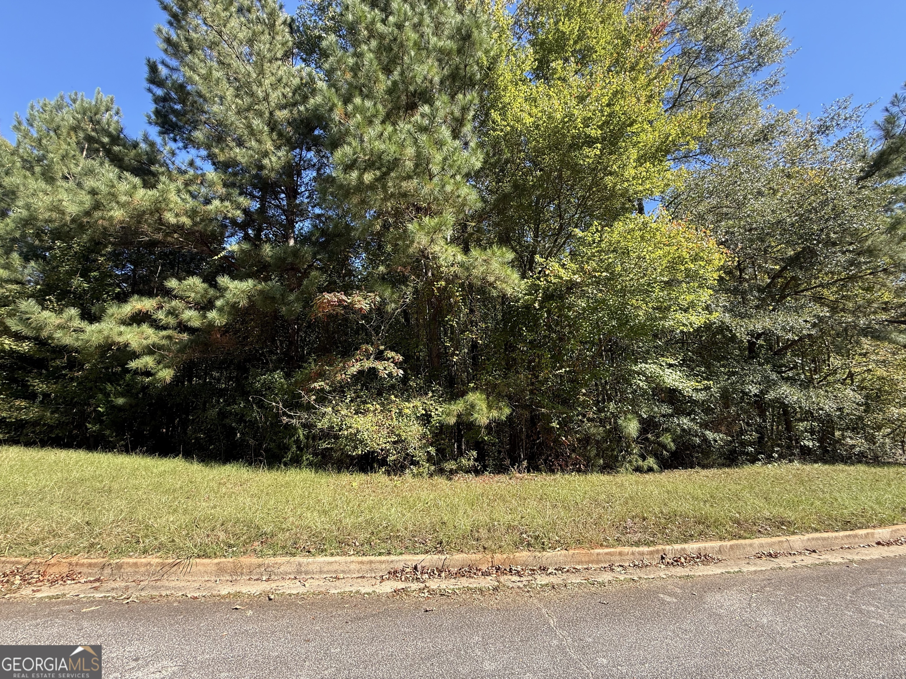 1333 Nickel Oak Bend Mcdonough GA 30252