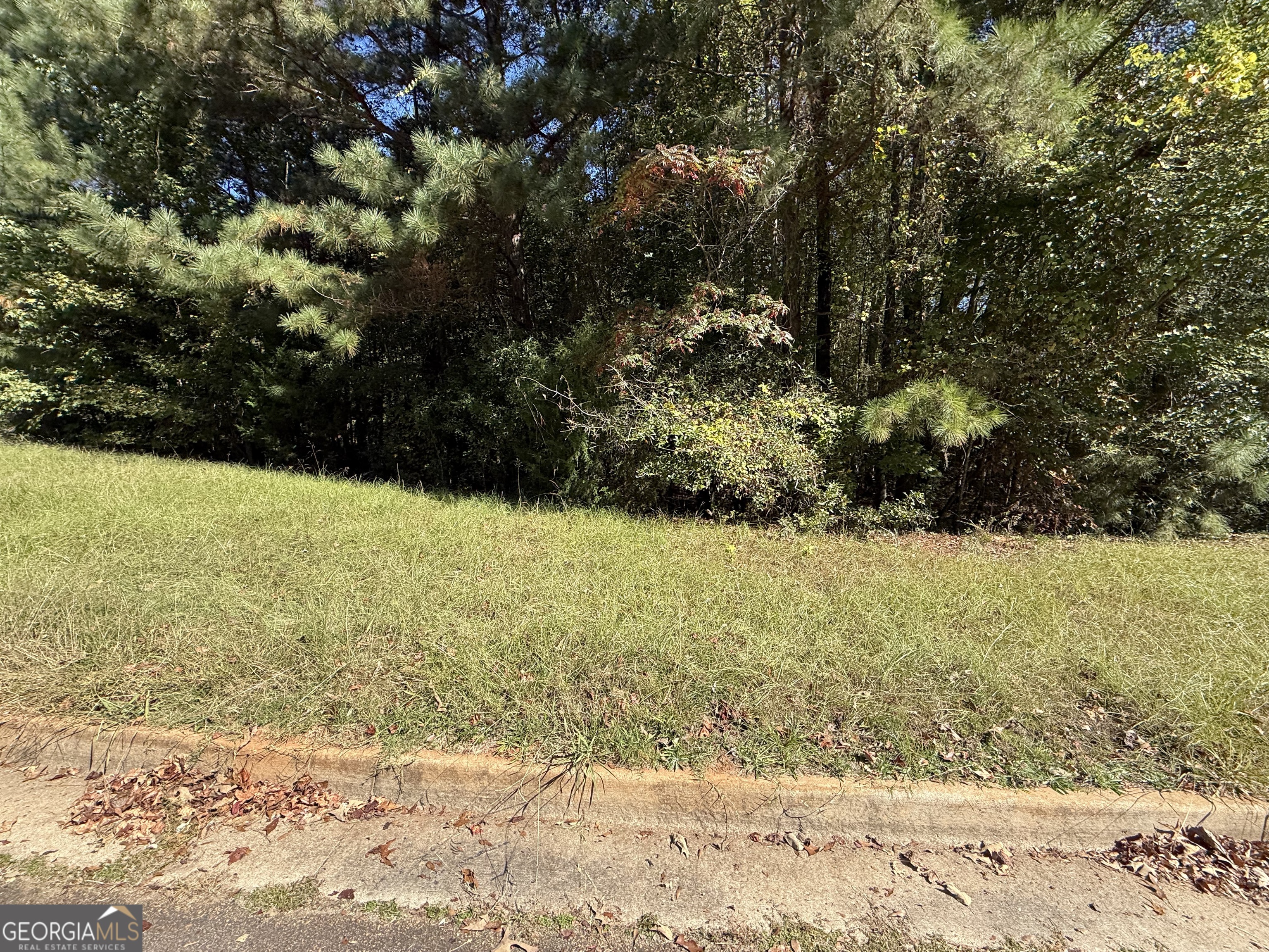 1333 Nickel Oak Bend Mcdonough GA 30252