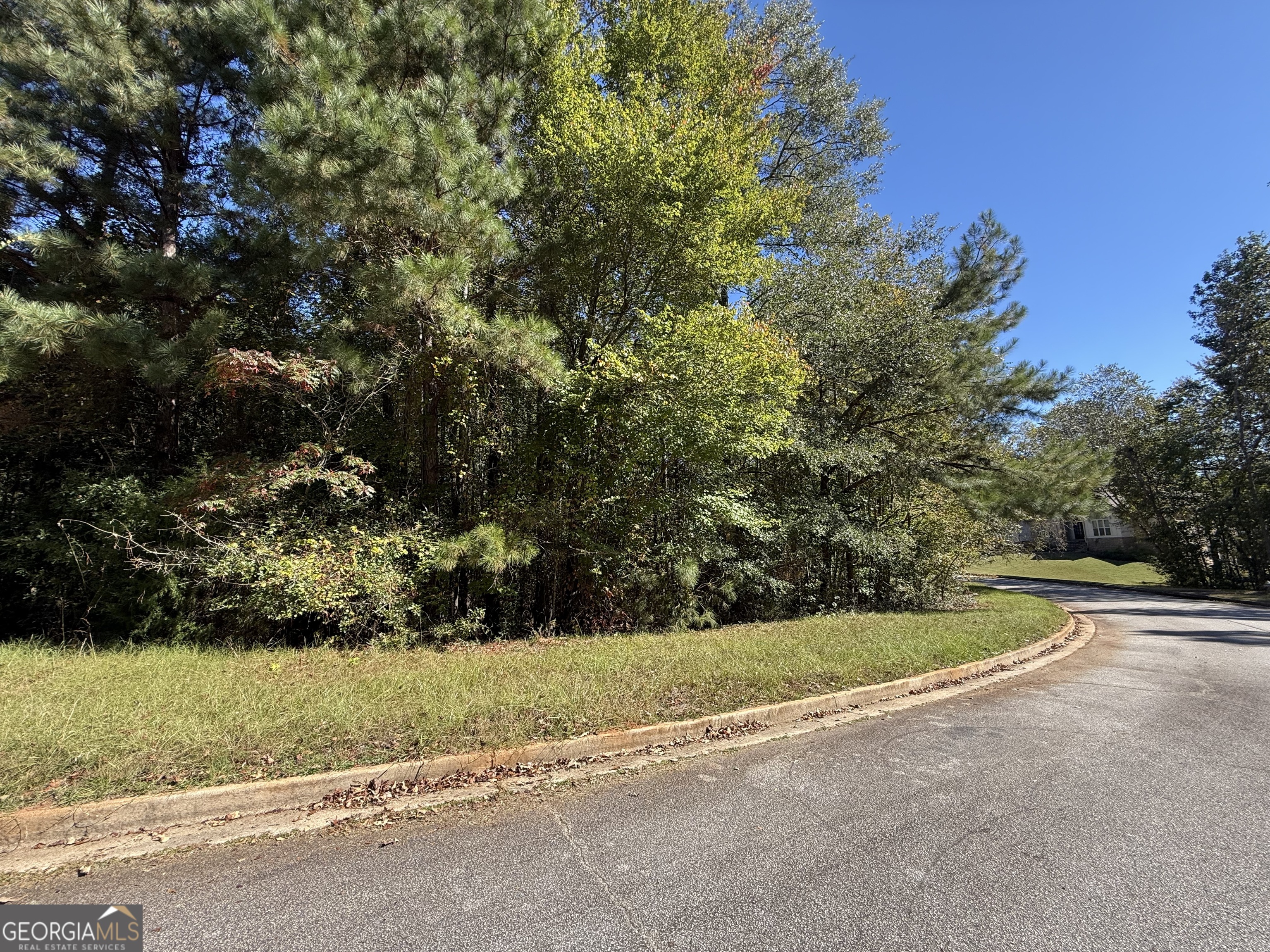 1333 Nickel Oak Bend Mcdonough GA 30252