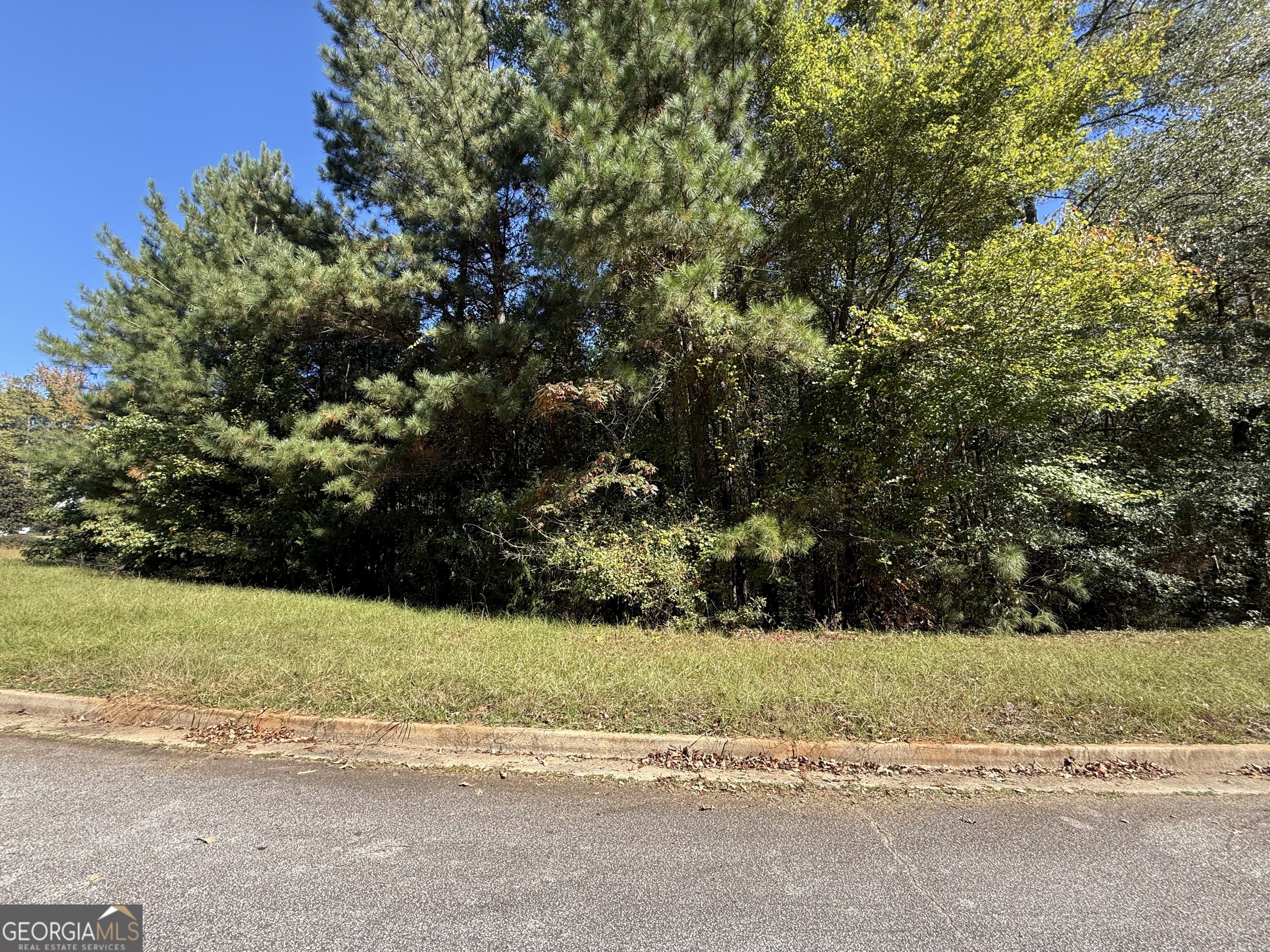 1333 Nickel Oak Bend Mcdonough GA 30252