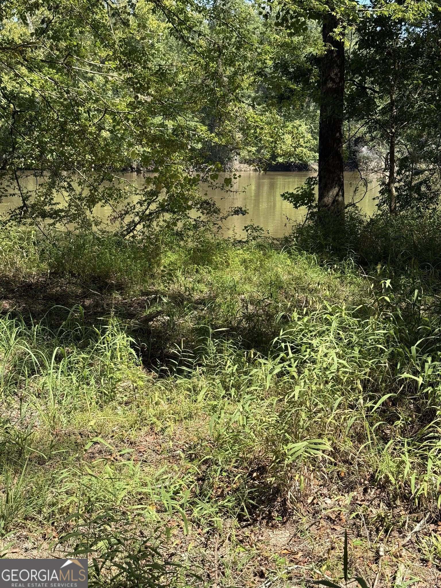 0 Charles Lane Springfield GA 31329