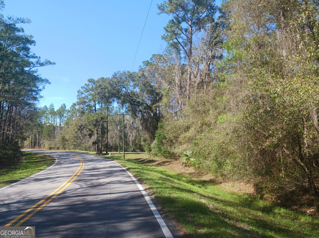 0 Dover Bluff Road & Ga Episcopal Center Road Center Waverly GA 31565