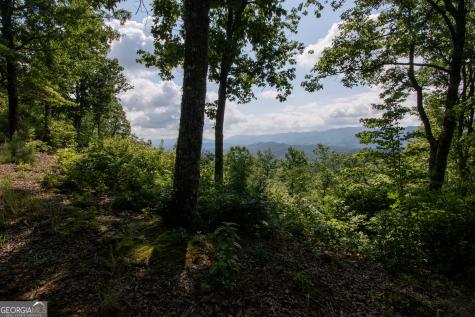 850 Bluff Road Marble NC 28905
