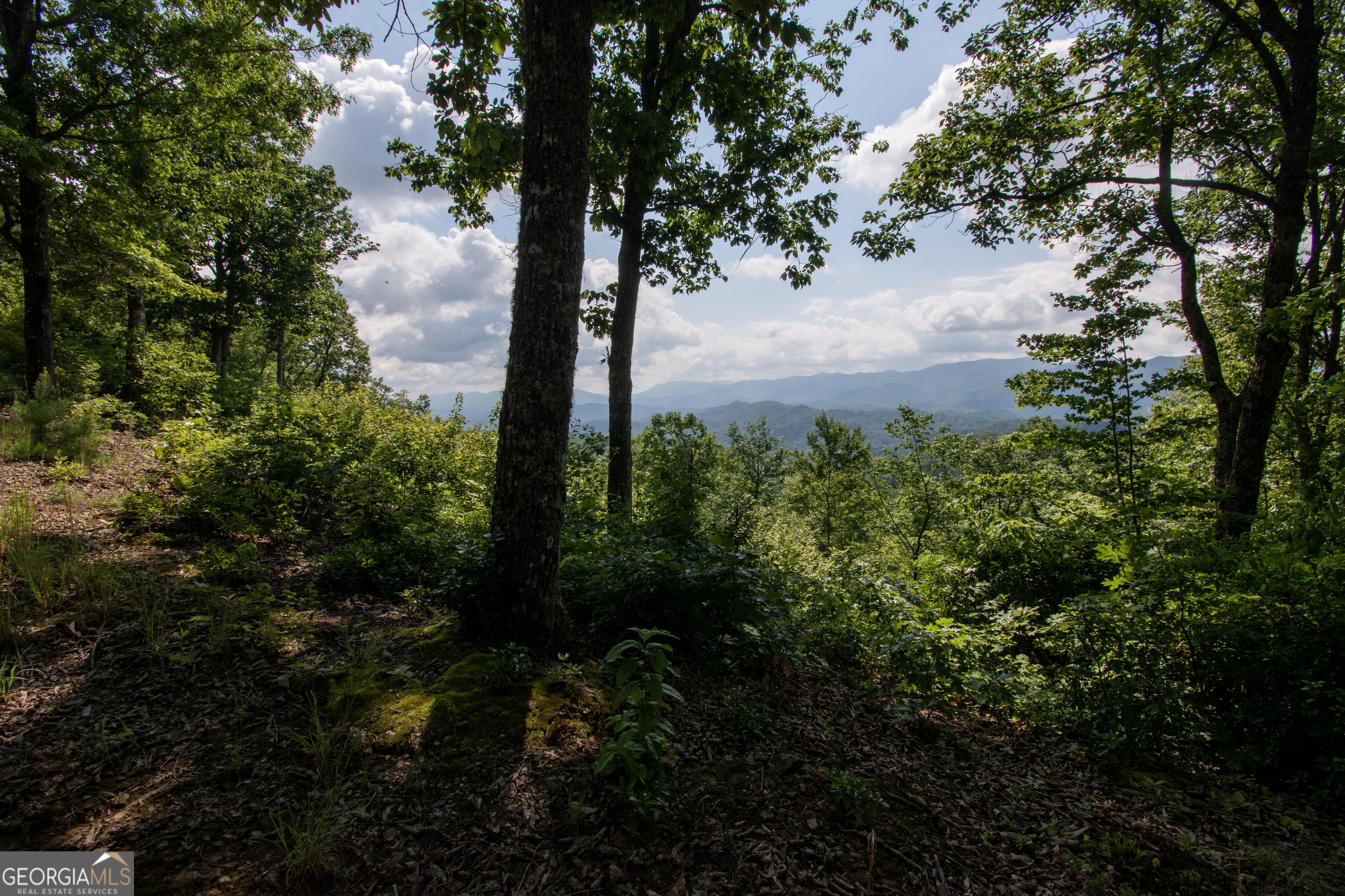 850 Bluff Road Marble NC 28905