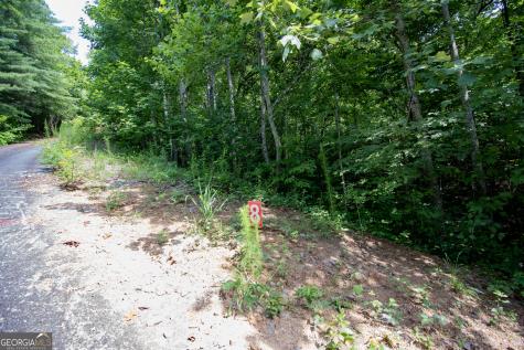 850 Bluff Road Marble NC 28905