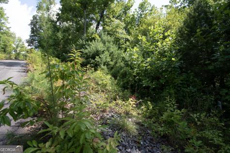 850 Bluff Road Marble NC 28905
