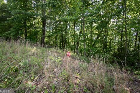 850 Bluff Road Marble NC 28905
