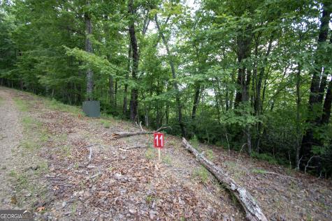 850 Bluff Road Marble NC 28905