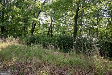 850 Bluff Road Marble NC 28905