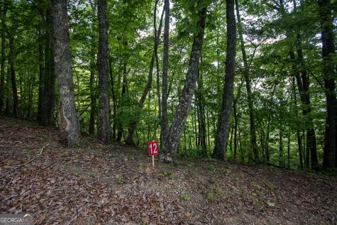 850 Bluff Road Marble NC 28905