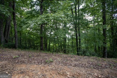 850 Bluff Road Marble NC 28905
