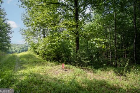 850 Bluff Road Marble NC 28905