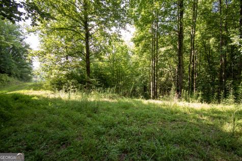 850 Bluff Road Marble NC 28905