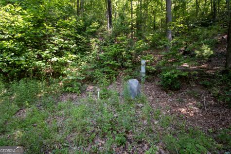 850 Bluff Road Marble NC 28905
