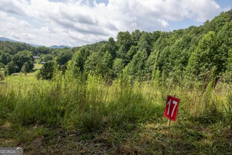 850 Bluff Road Marble NC 28905