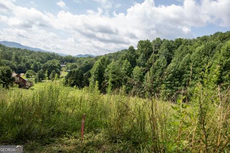 850 Bluff Road Marble NC 28905