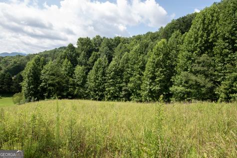 850 Bluff Road Marble NC 28905