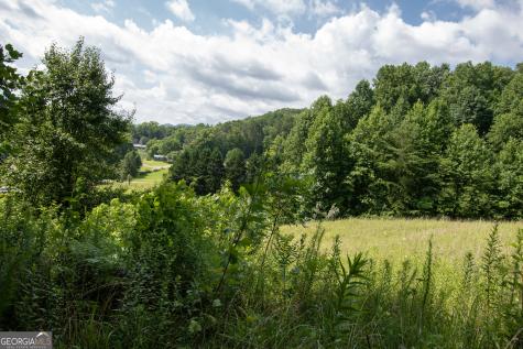 850 Bluff Road Marble NC 28905