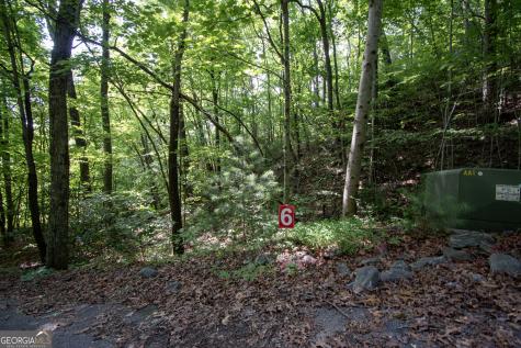 850 Bluff Road Marble NC 28905