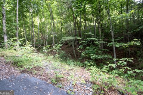 850 Bluff Road Marble NC 28905