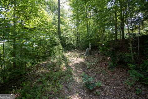 850 Bluff Road Marble NC 28905