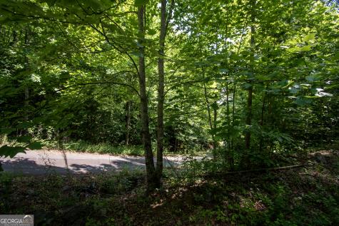 850 Bluff Road Marble NC 28905
