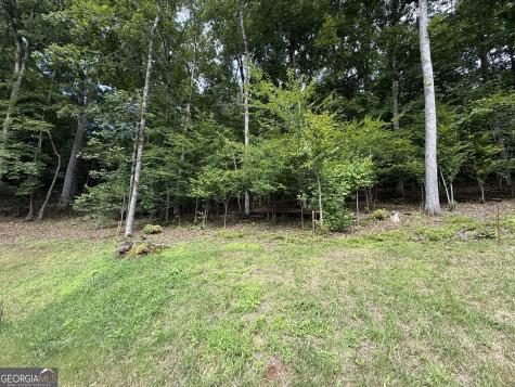 248 Ledford Chapel Road Hayesville NC 28904