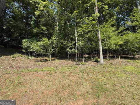 248 Ledford Chapel Road Hayesville NC 28904