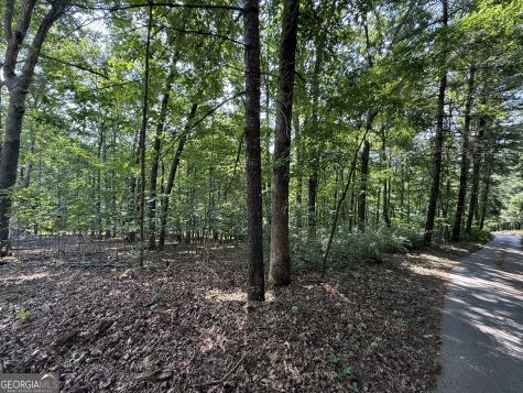 248 Ledford Chapel Road Hayesville NC 28904