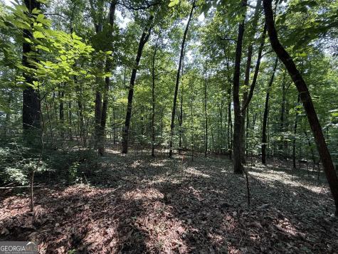 248 Ledford Chapel Road Hayesville NC 28904