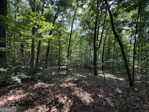 248 Ledford Chapel Road Hayesville NC 28904