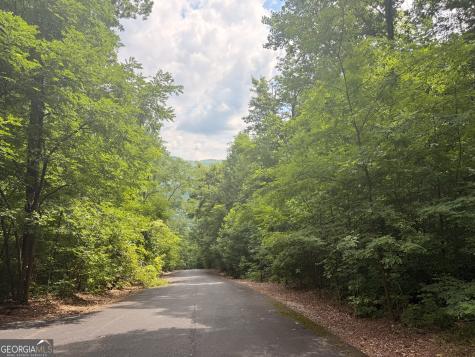 0 Streets Of The Overlook At Kingwood Clayton GA 30525