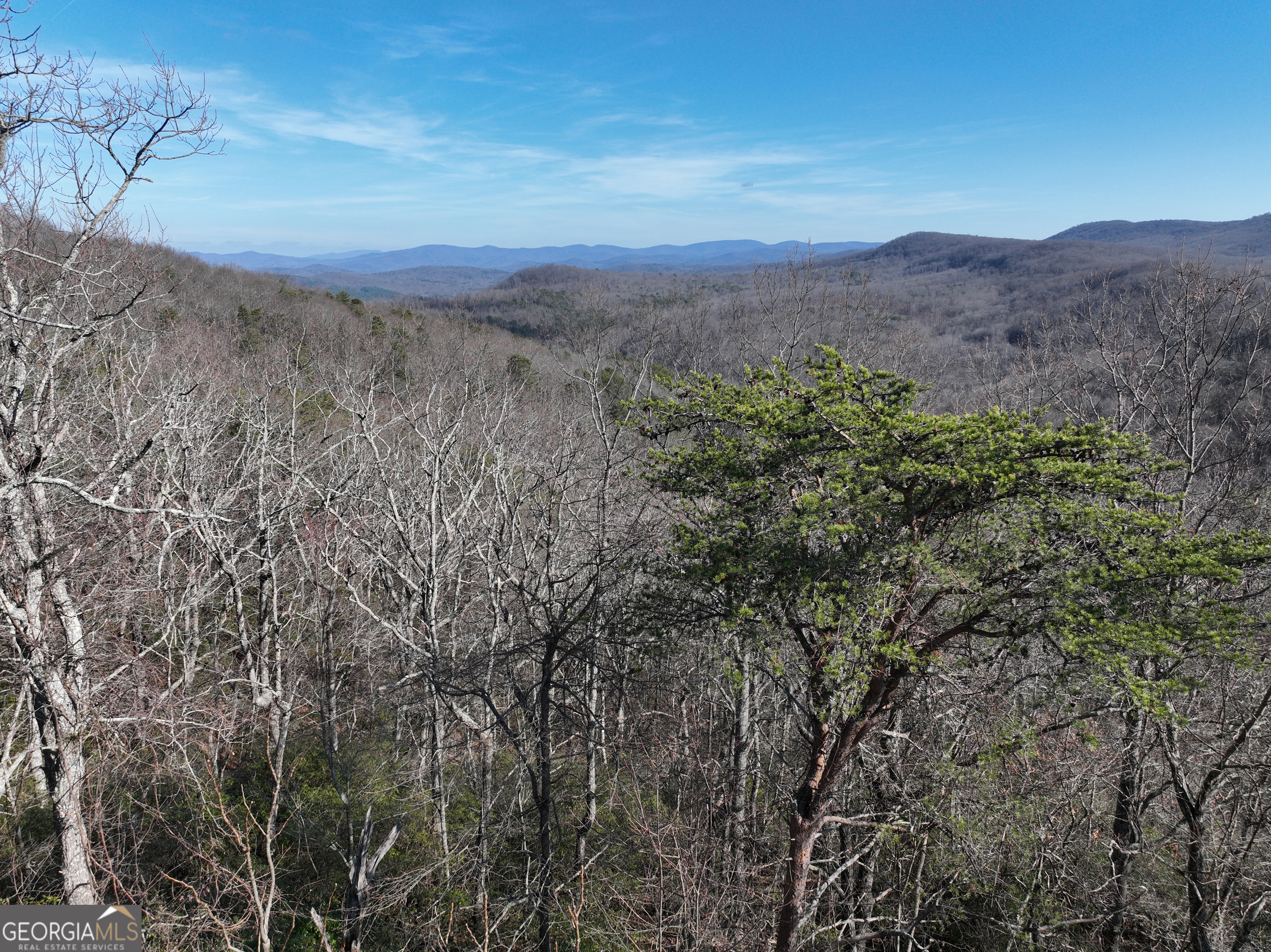 246 Andes Ridge Jasper GA 30143