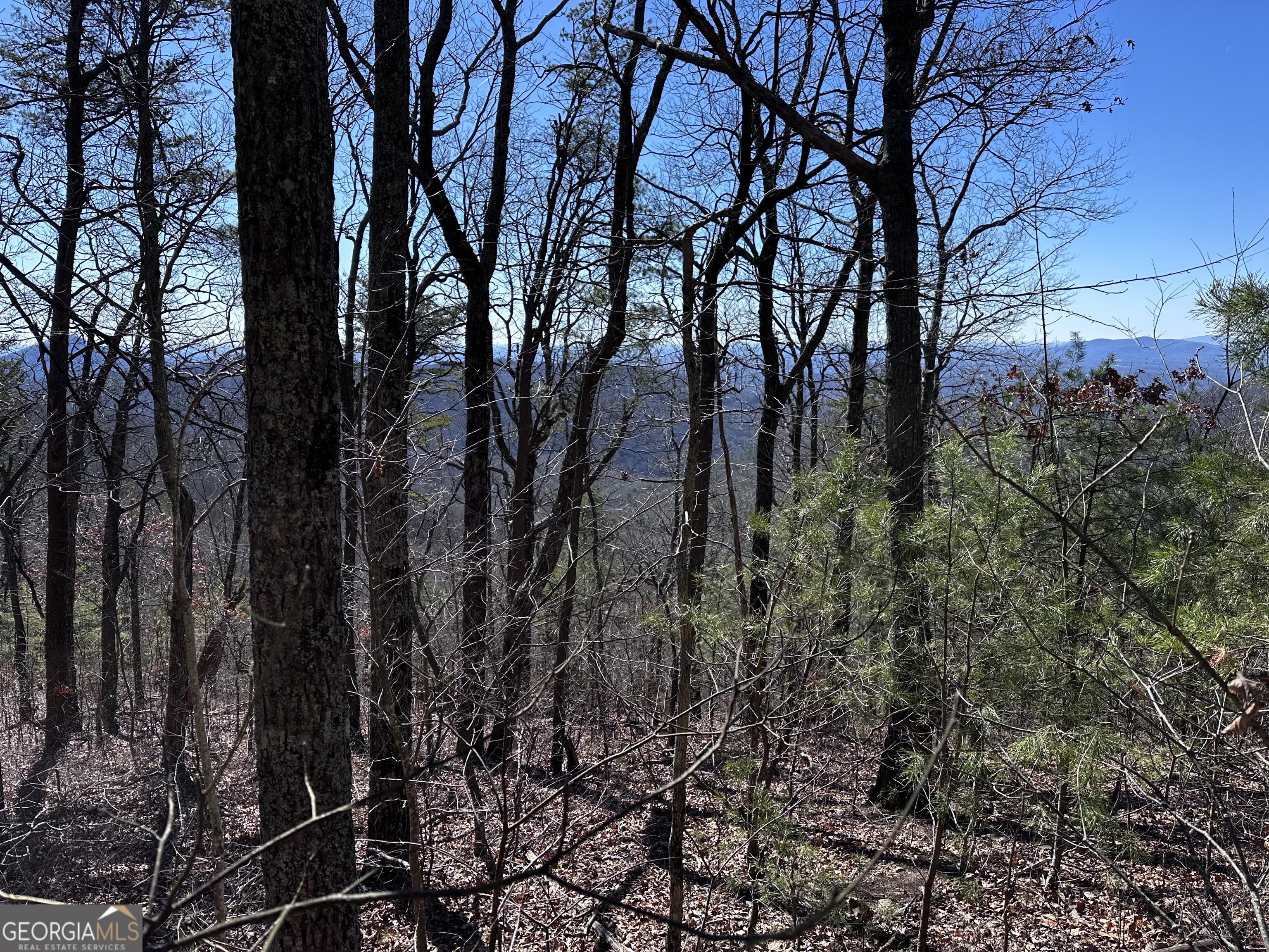 246 Andes Ridge Jasper GA 30143