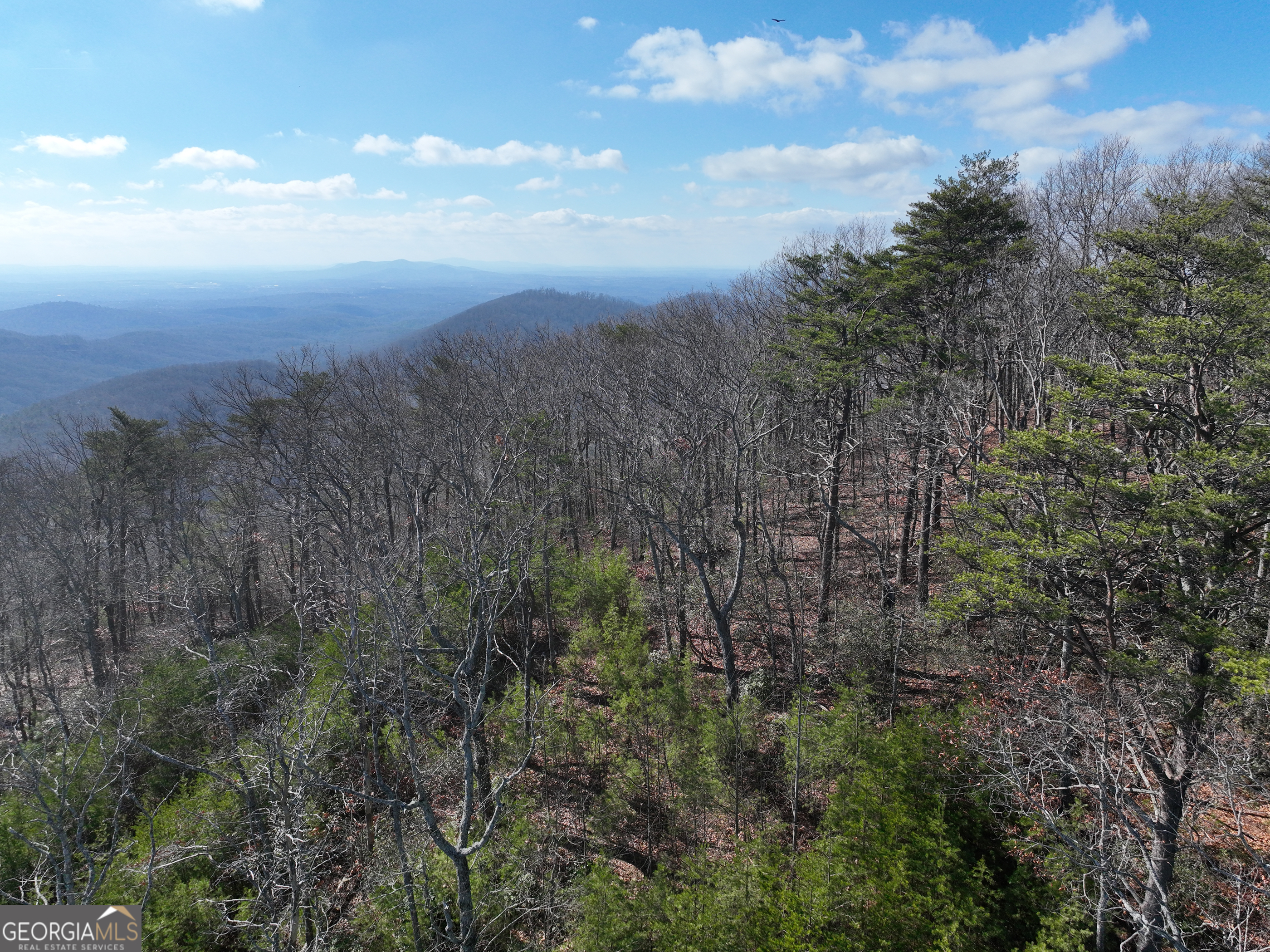 246 Andes Ridge Jasper GA 30143