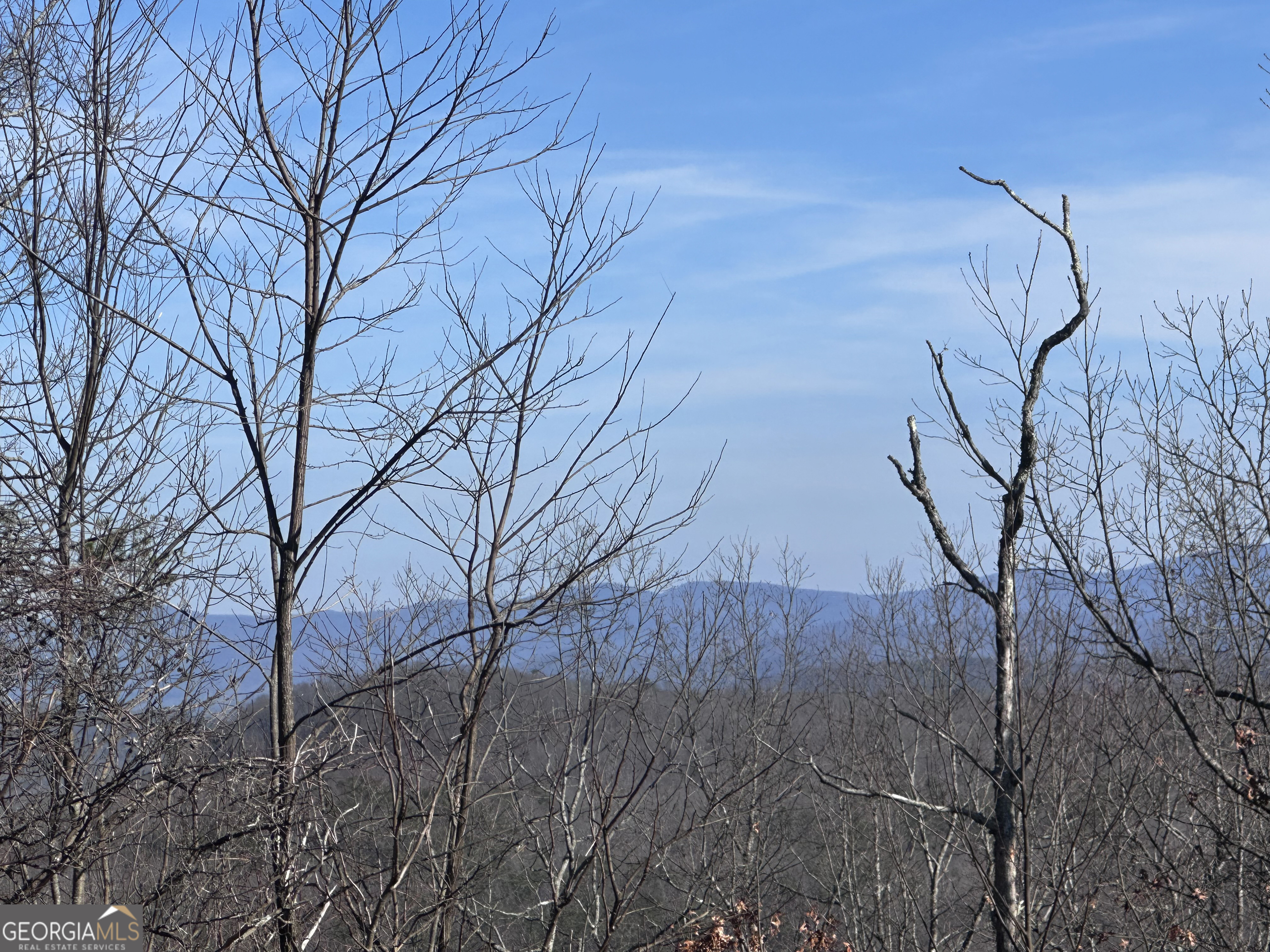 246 Andes Ridge Jasper GA 30143