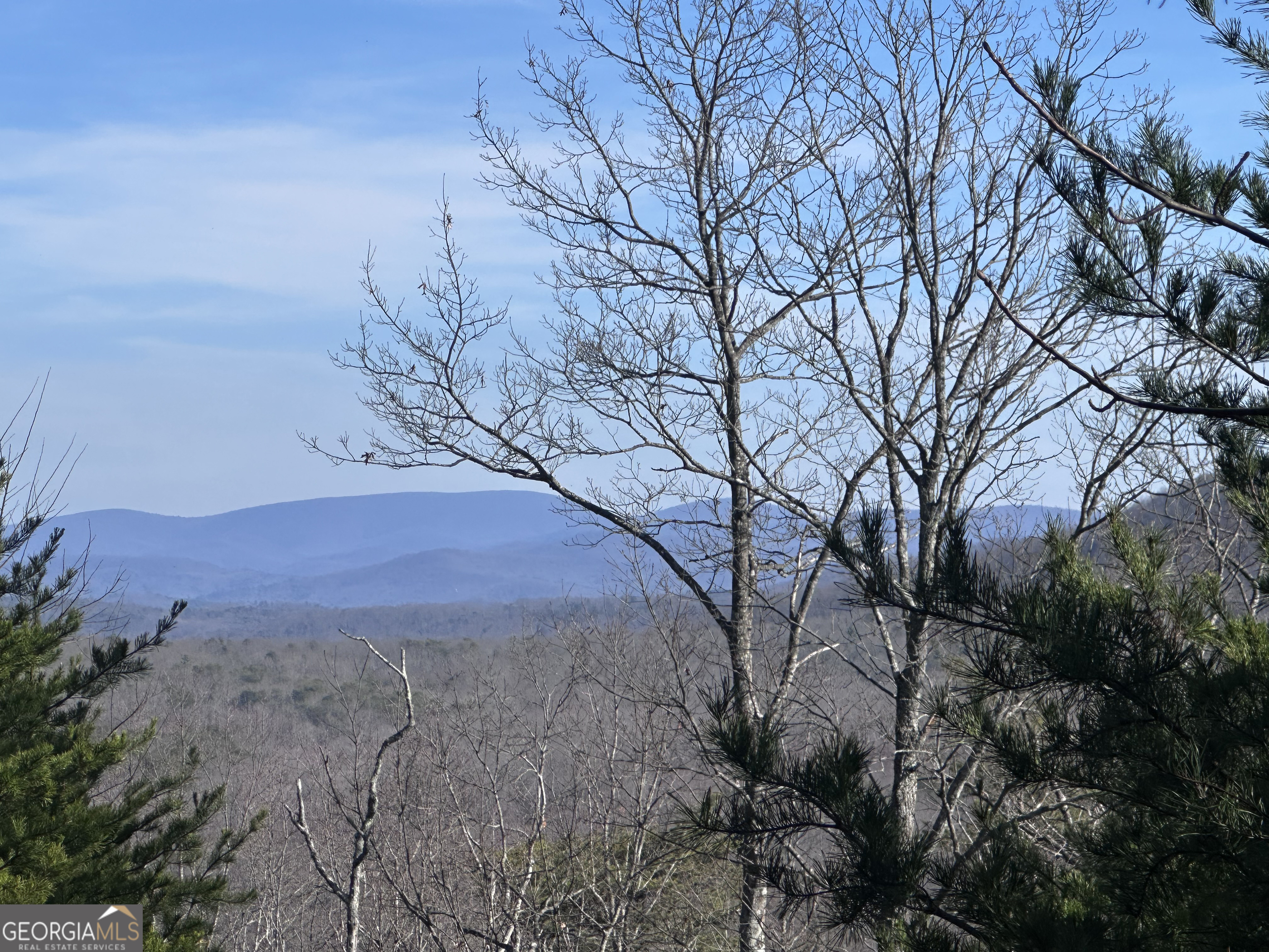 246 Andes Ridge Jasper GA 30143