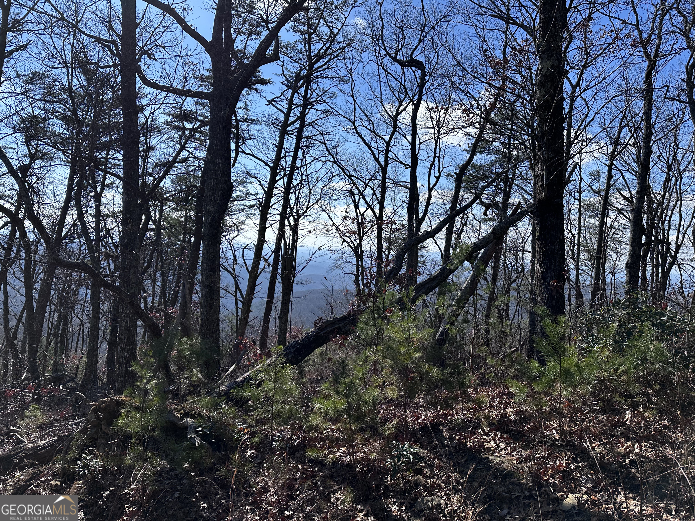 246 Andes Ridge Jasper GA 30143