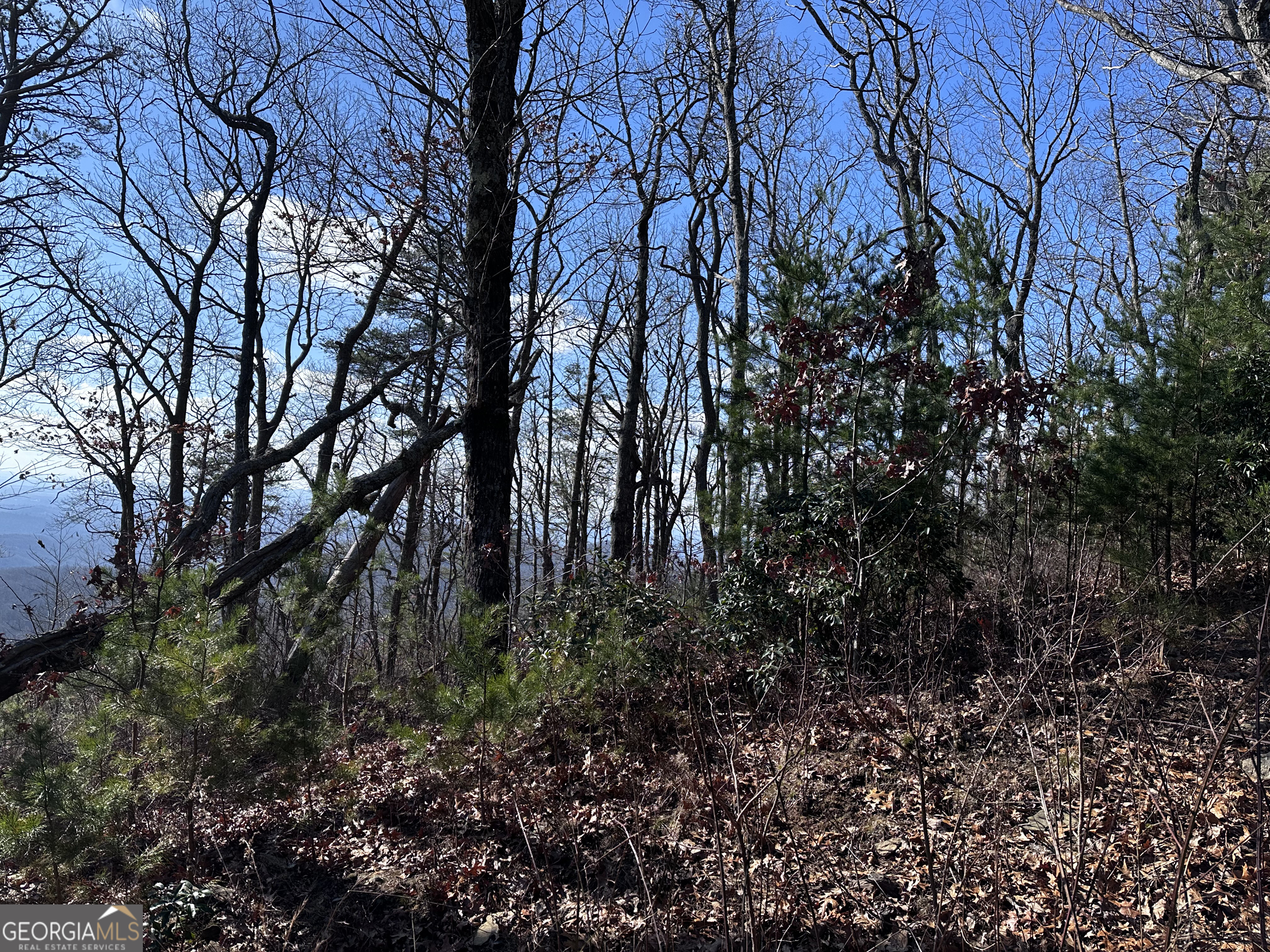 246 Andes Ridge Jasper GA 30143