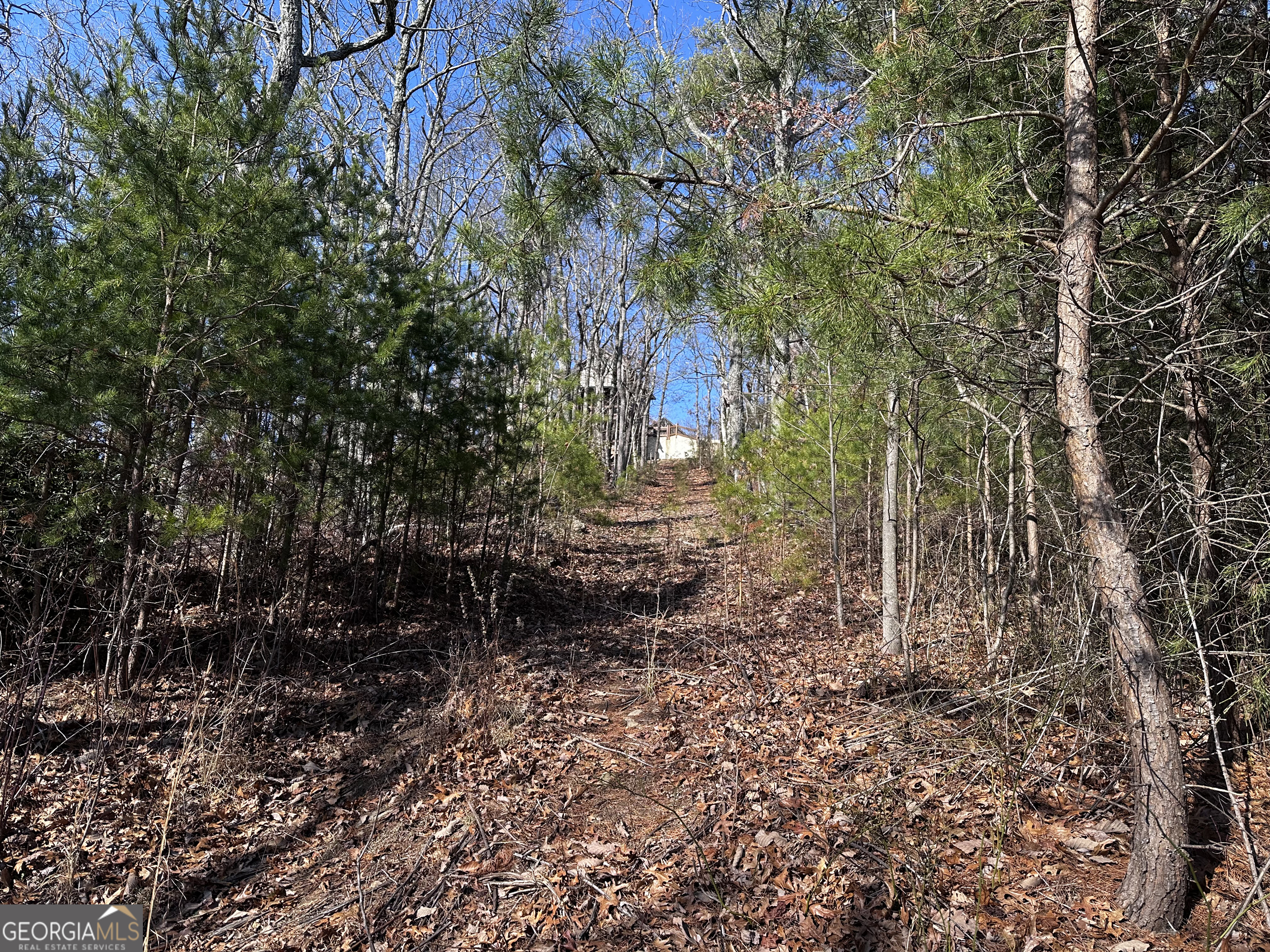 246 Andes Ridge Jasper GA 30143