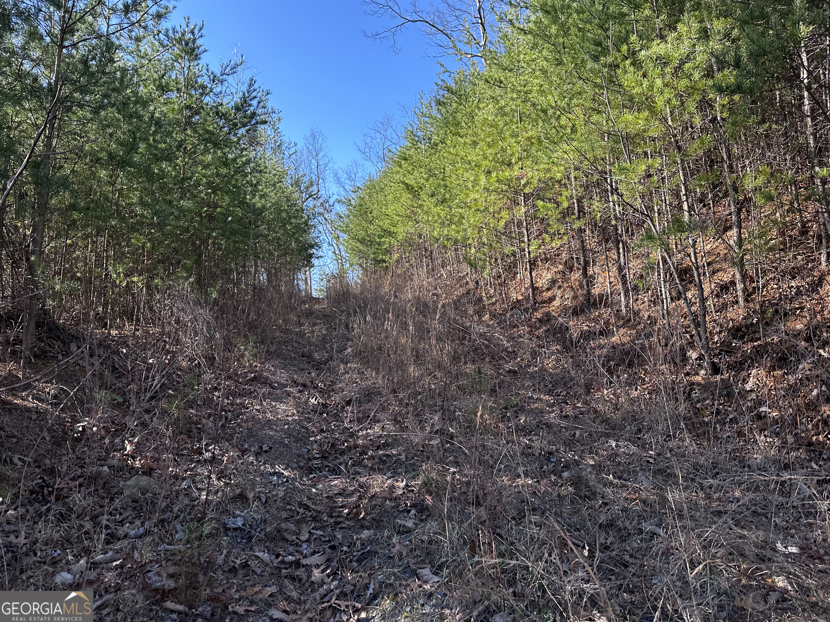 246 Andes Ridge Jasper GA 30143