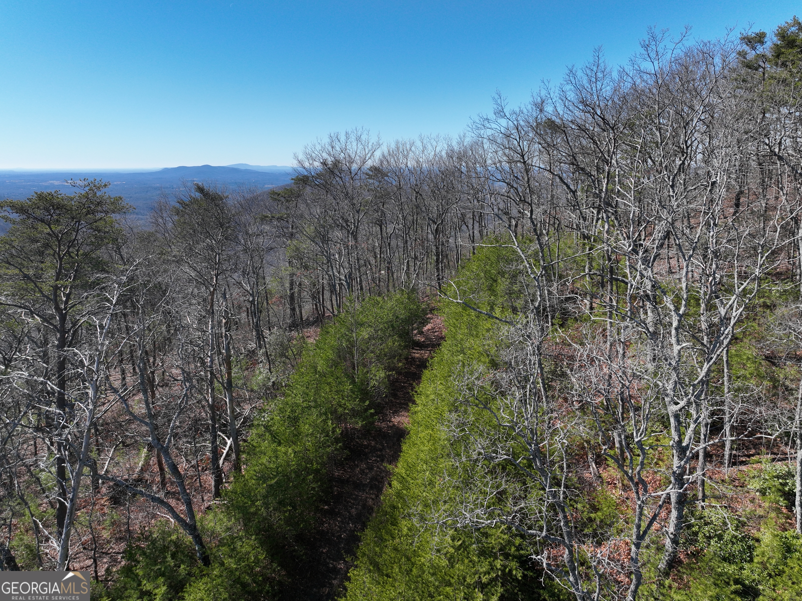 246 Andes Ridge Jasper GA 30143