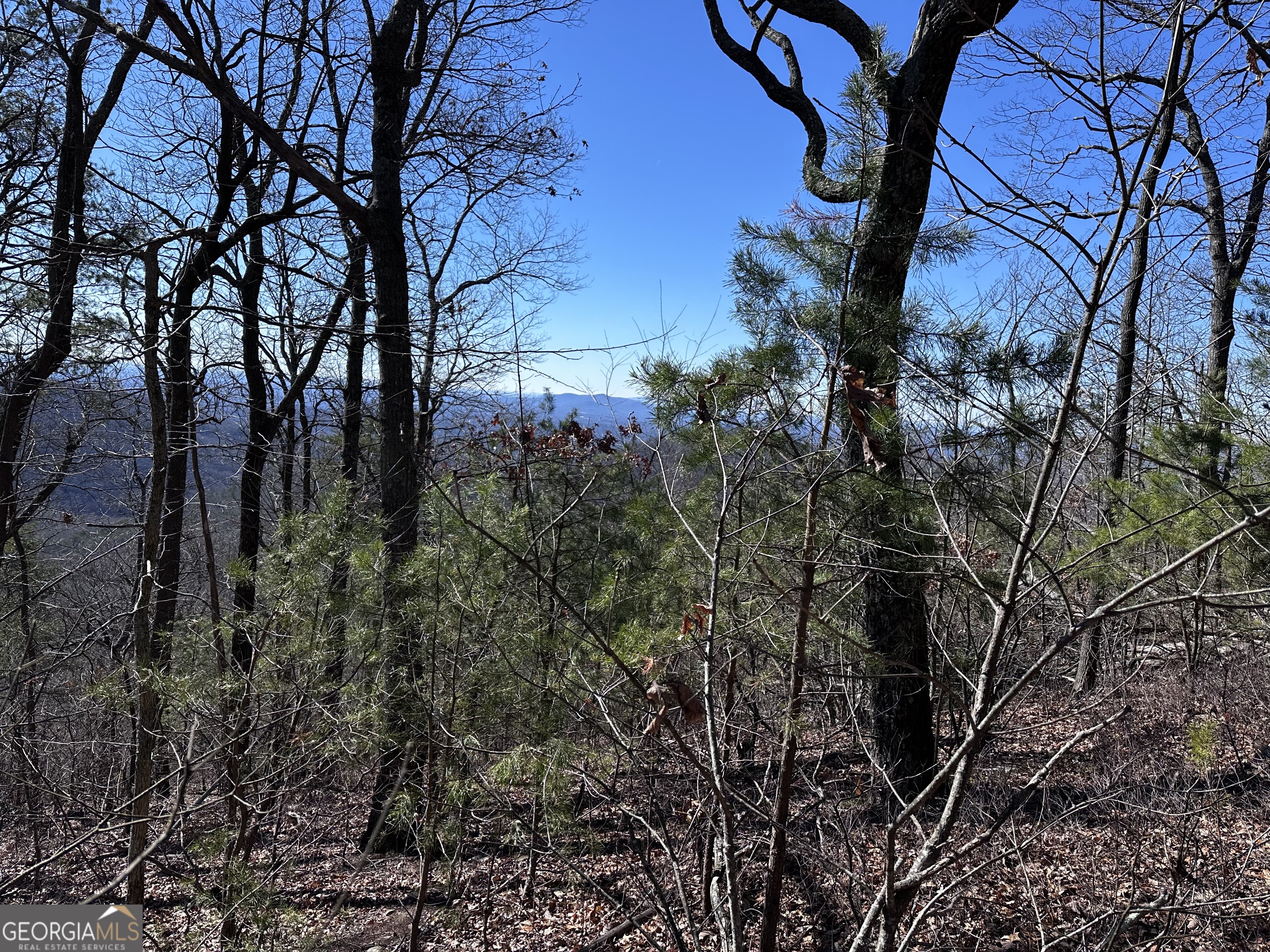 246 Andes Ridge Jasper GA 30143