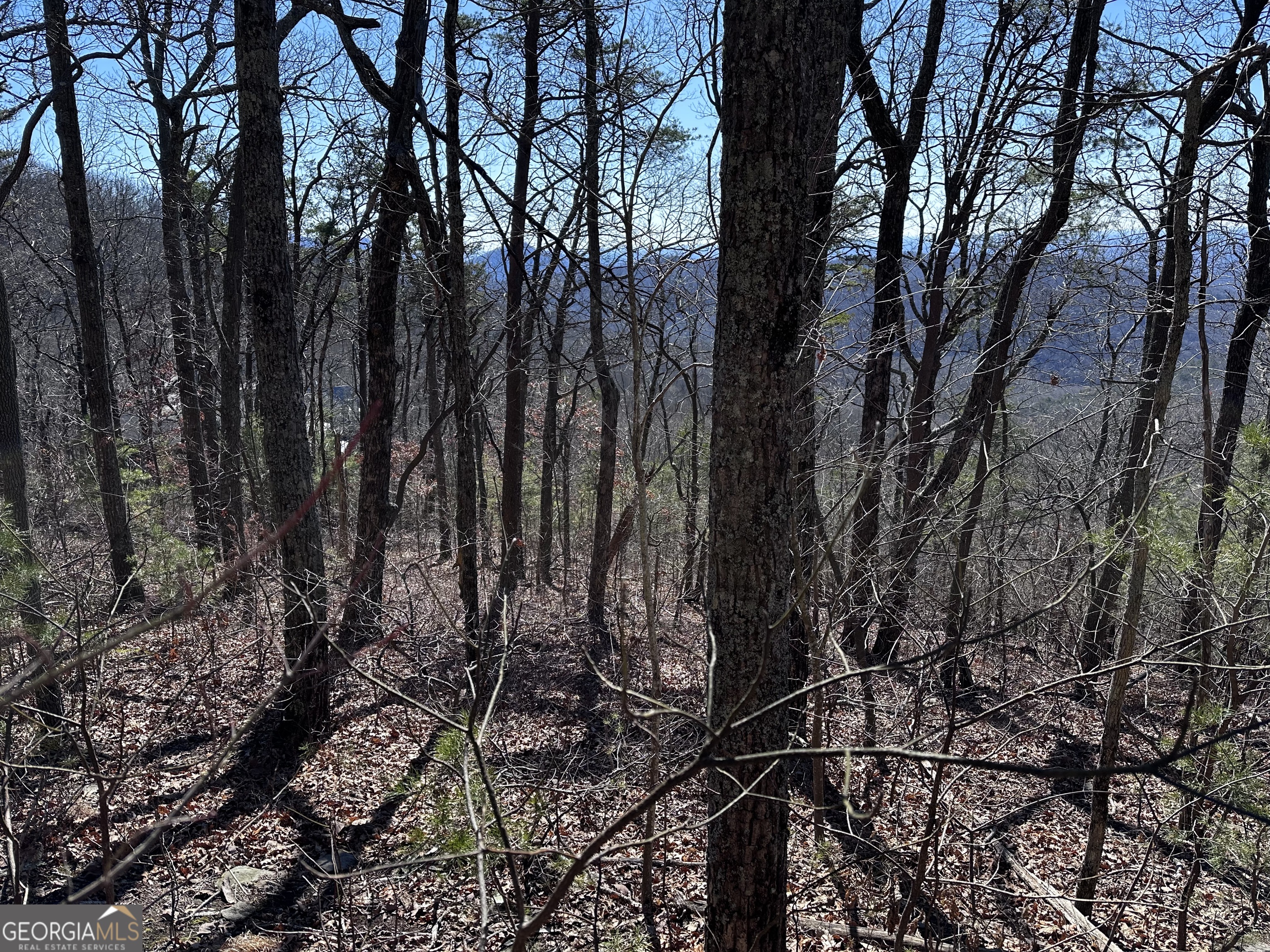 246 Andes Ridge Jasper GA 30143