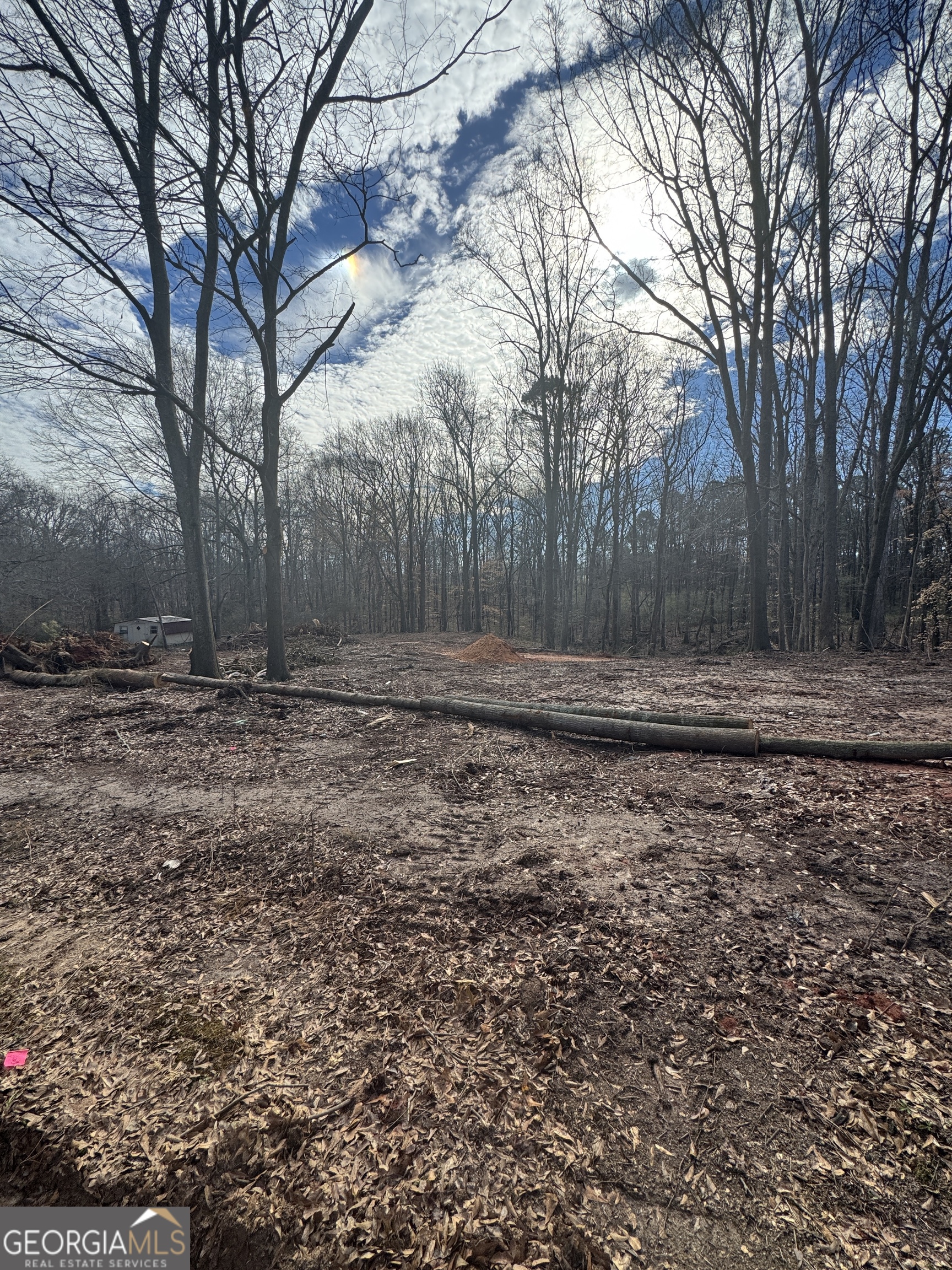 260 Roosevelt Circle Bowman GA 30624
