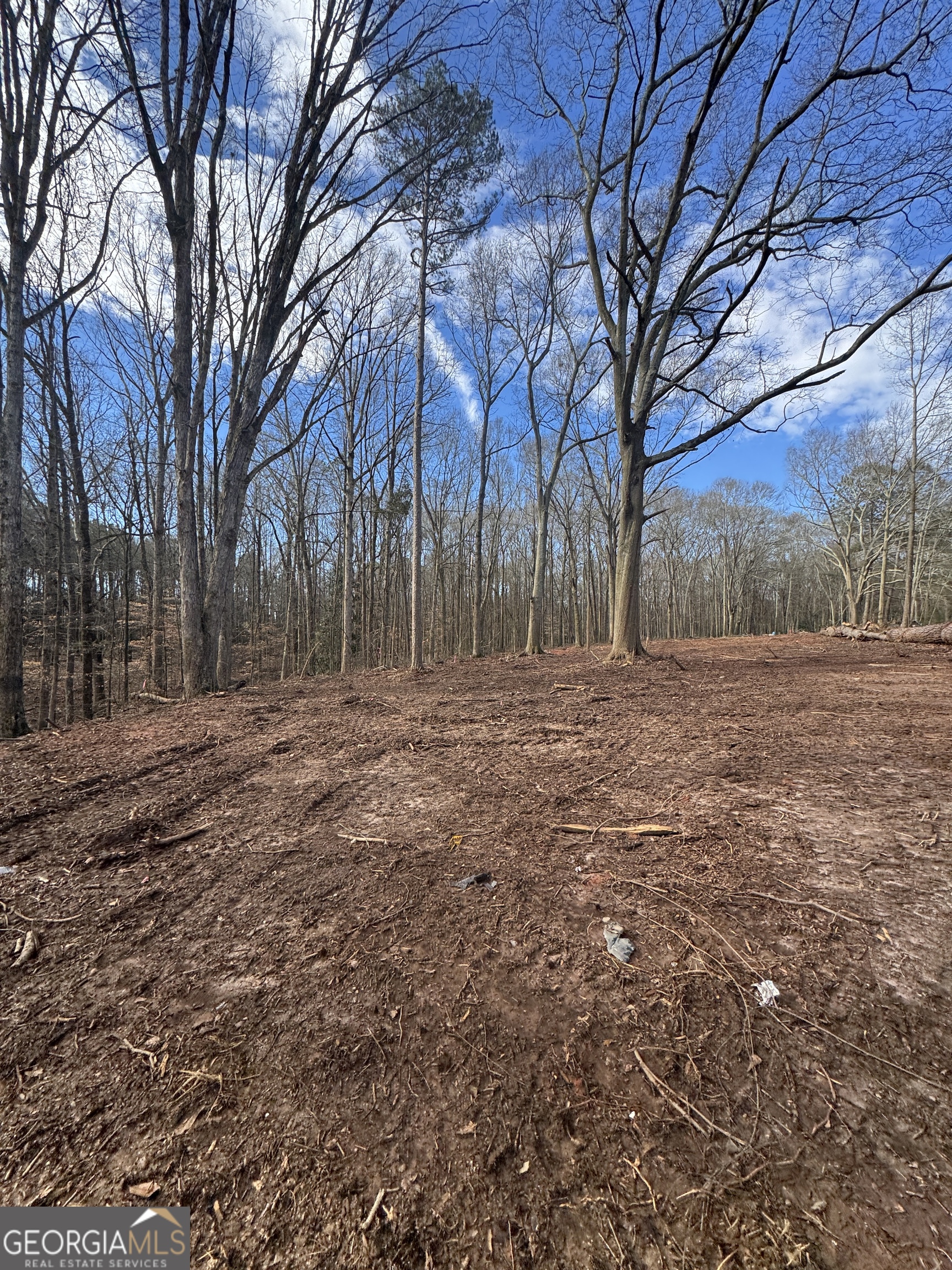 260 Roosevelt Circle Bowman GA 30624