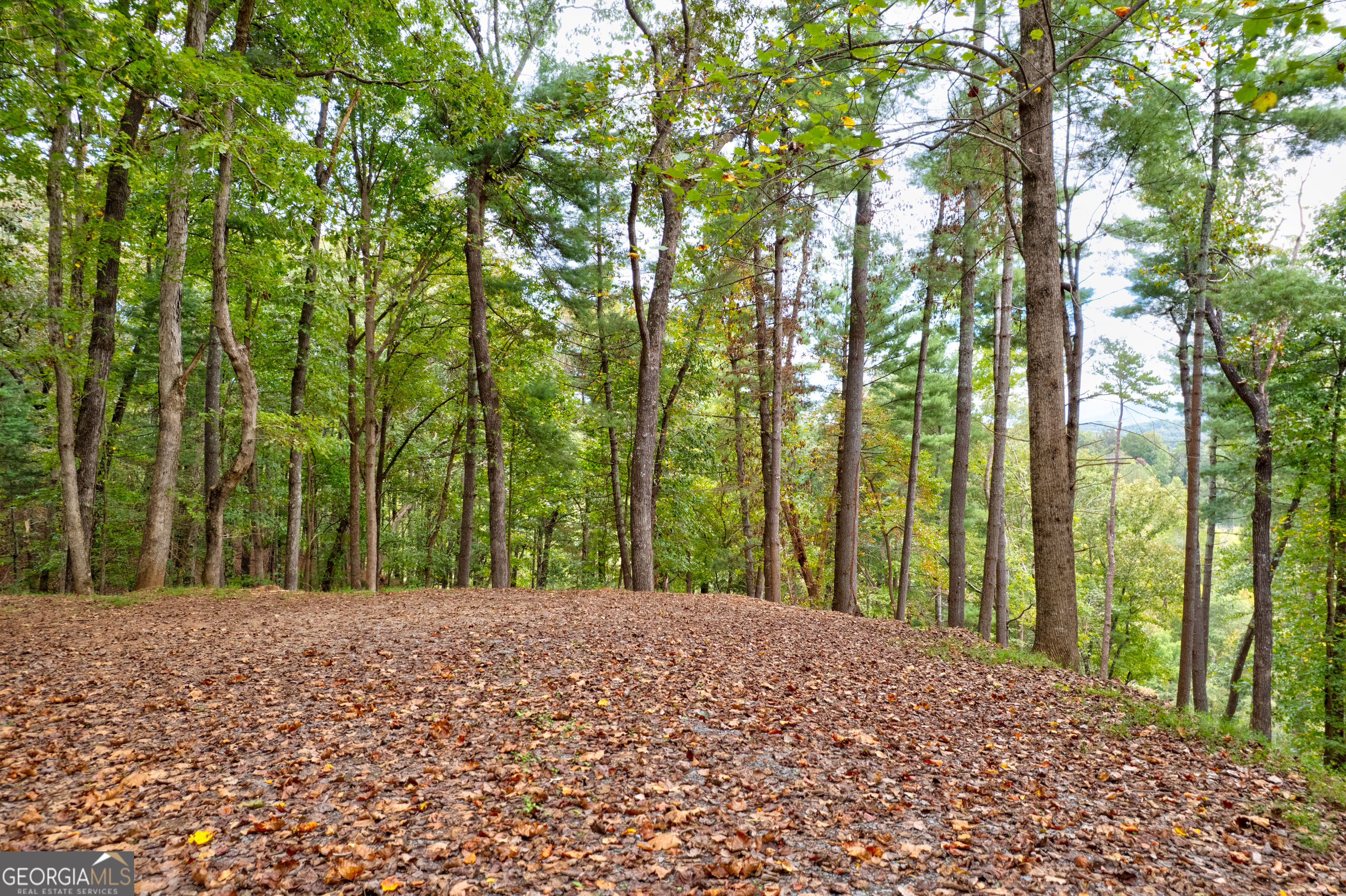 Lot 99r Ponca Court Ellijay GA 30540